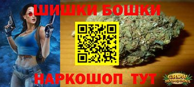сатива Будённовск